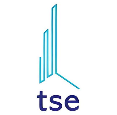 TSE Management Services