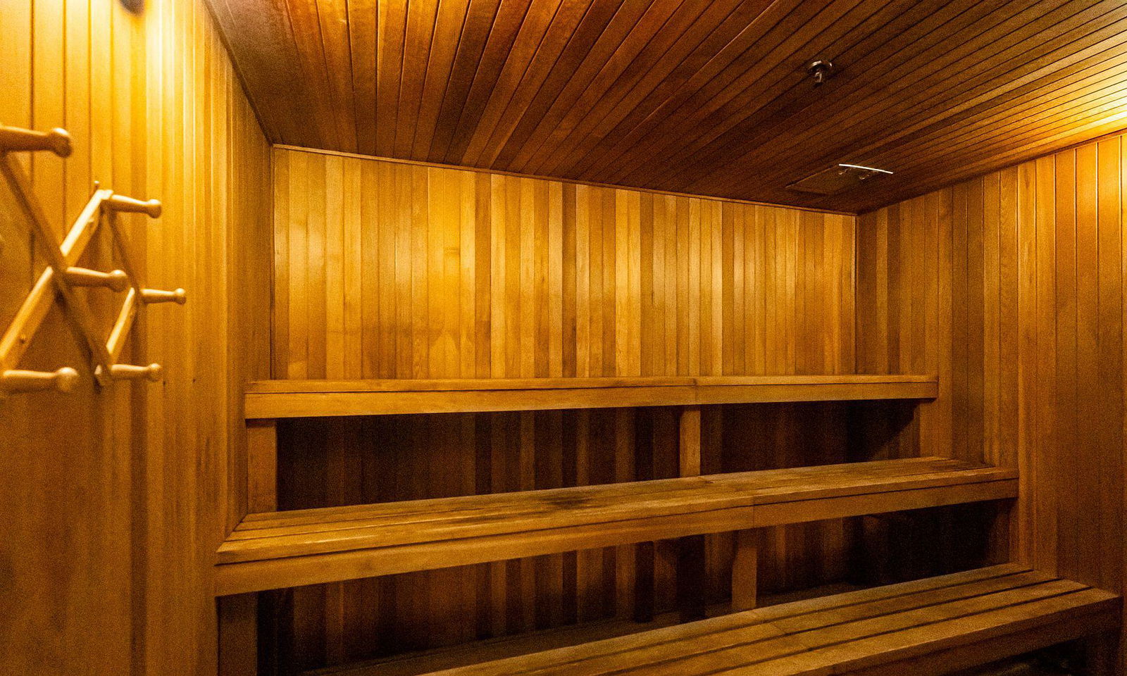 Sauna — High Park Green, West End, Toronto