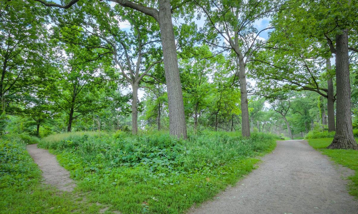 Park — High Park Residences, West End, Toronto