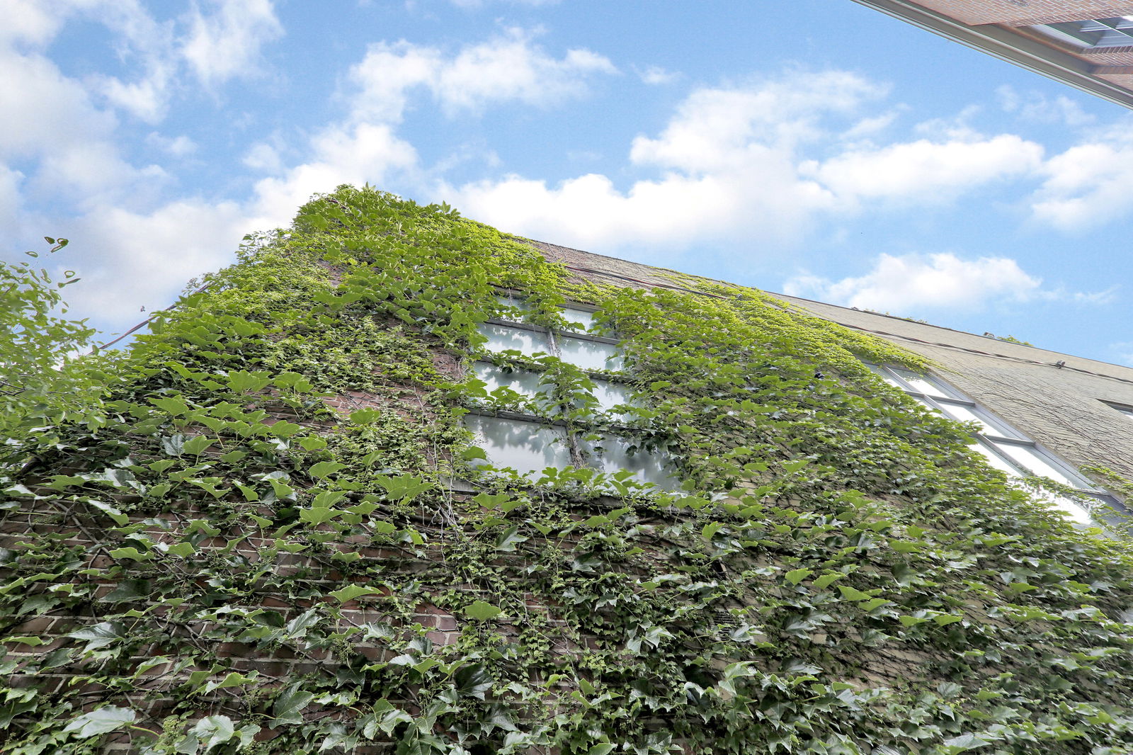 Exterior Sky — Claremont Lofts, West End, Toronto