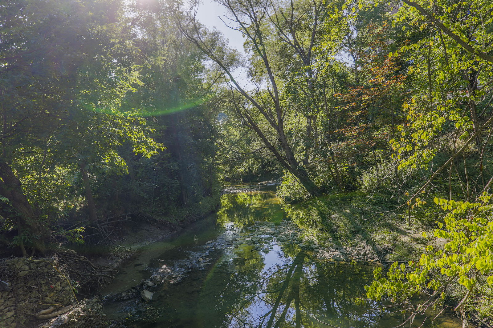 Park — Park Vista, East York, Toronto