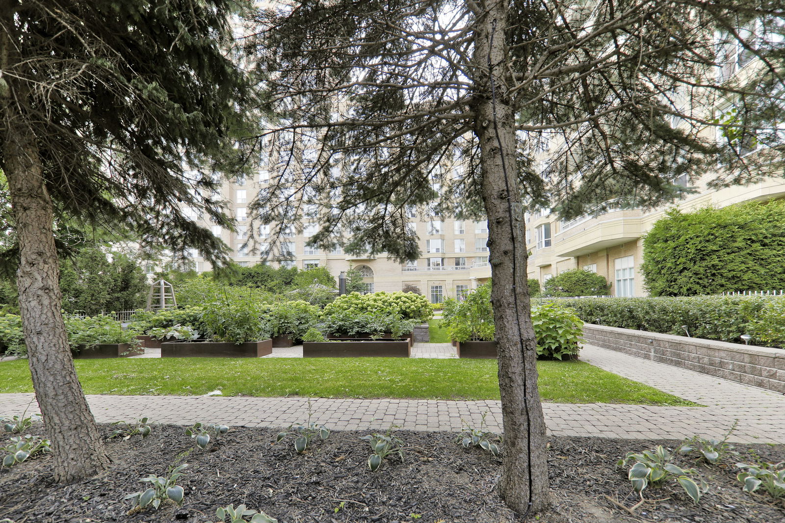 Patio — Leaside Park, East York, Toronto