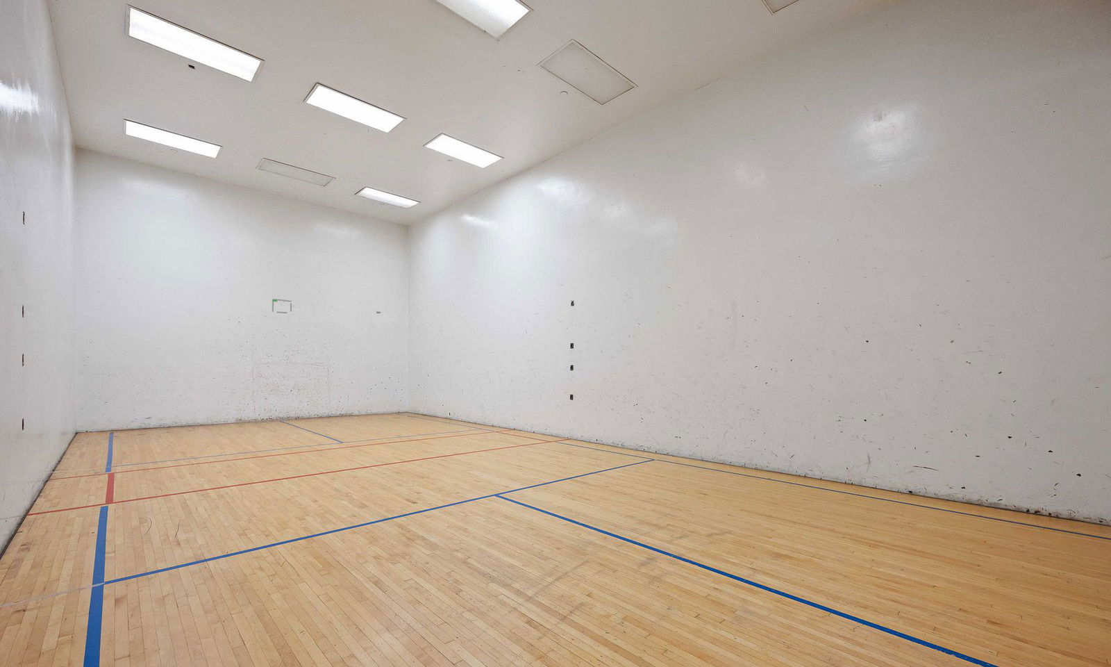 Squash Court — Concorde Park I Condos, North York, Toronto