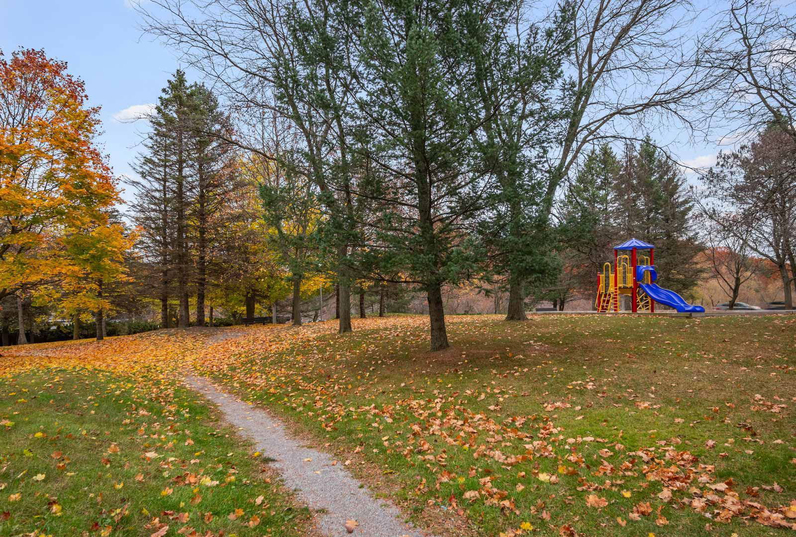 Park — Mapledale Condos, Scarborough, Toronto