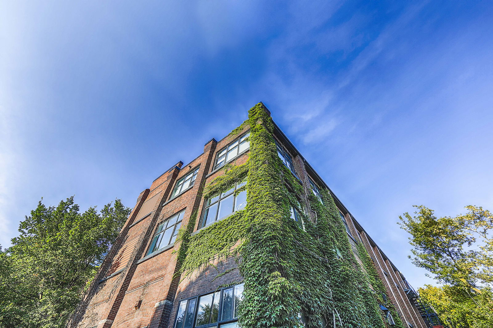 Exterior Sky — Sorauren Lofts, West End, Toronto