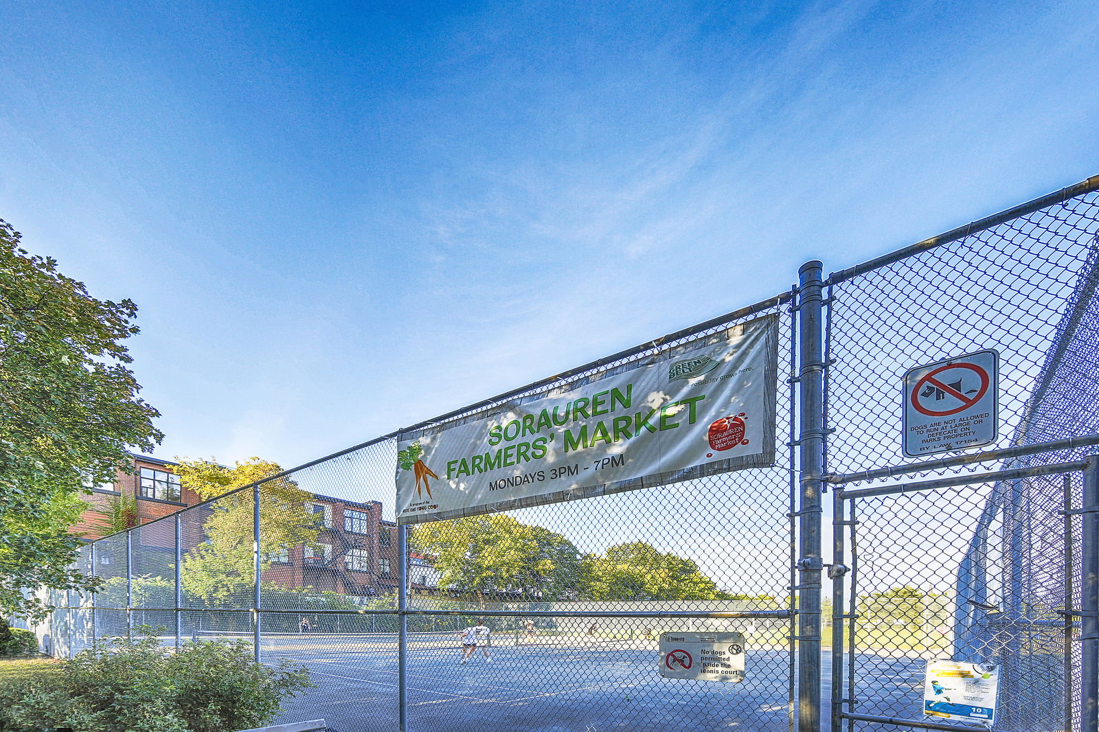 Tennis Court — Sorauren Lofts, West End, Toronto