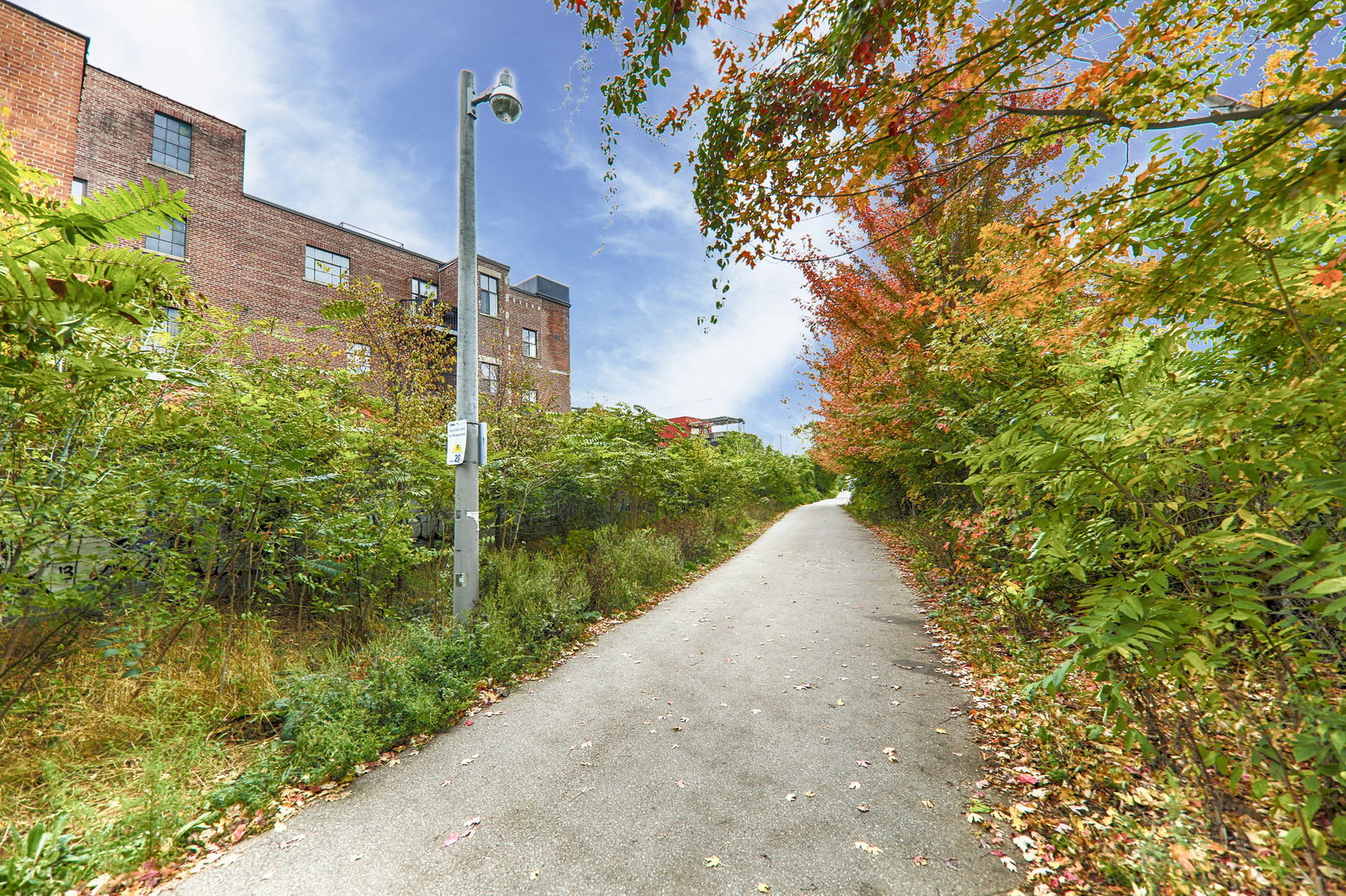 Park — Wallace Station Lofts, West End, Toronto