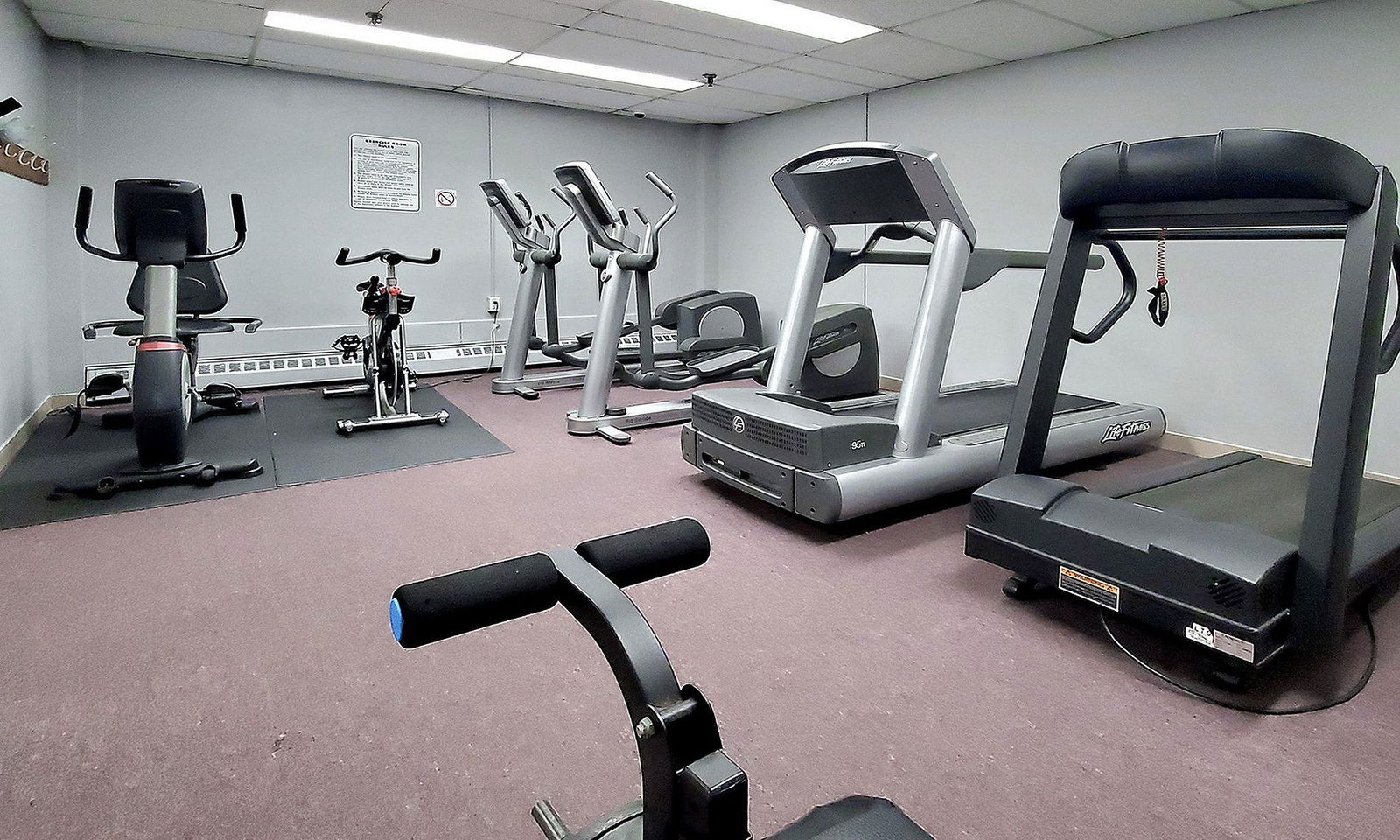 Gym — The Birches Condos, Scarborough, Toronto