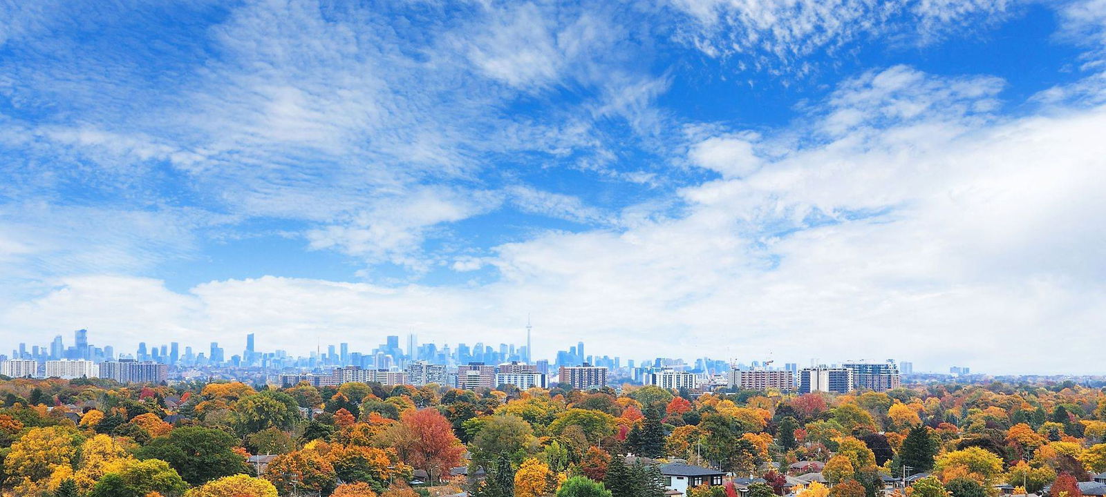 Skyline — Tiffany Place Condos, Etobicoke, Toronto