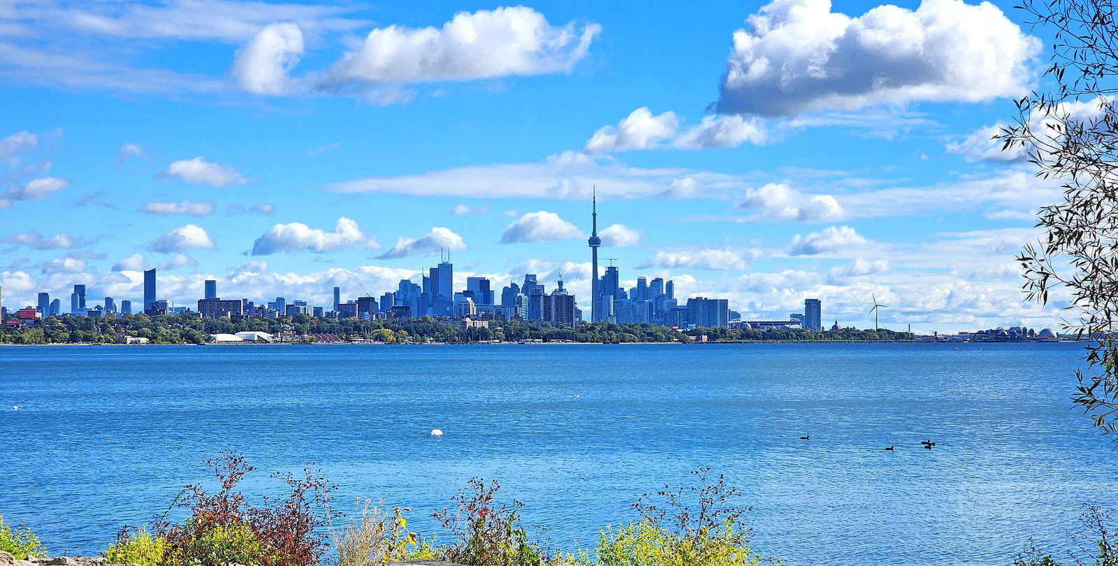 Skyline — Waterscapes Condos, Etobicoke, Toronto