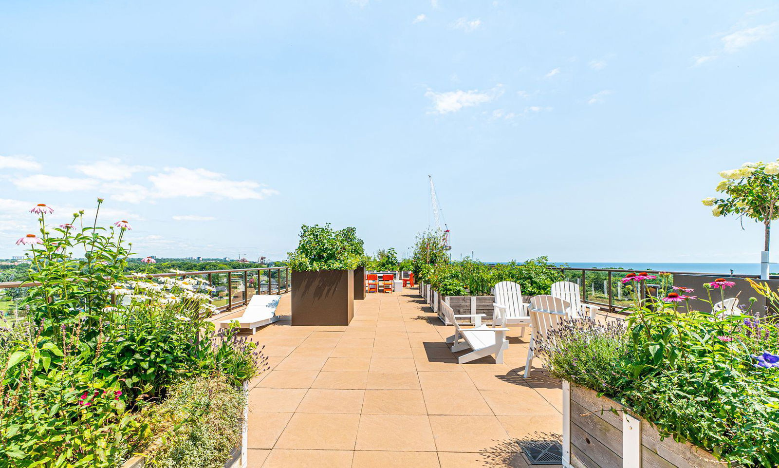 Rooftop Deck — Kingston & Co Condos, Scarborough, Toronto