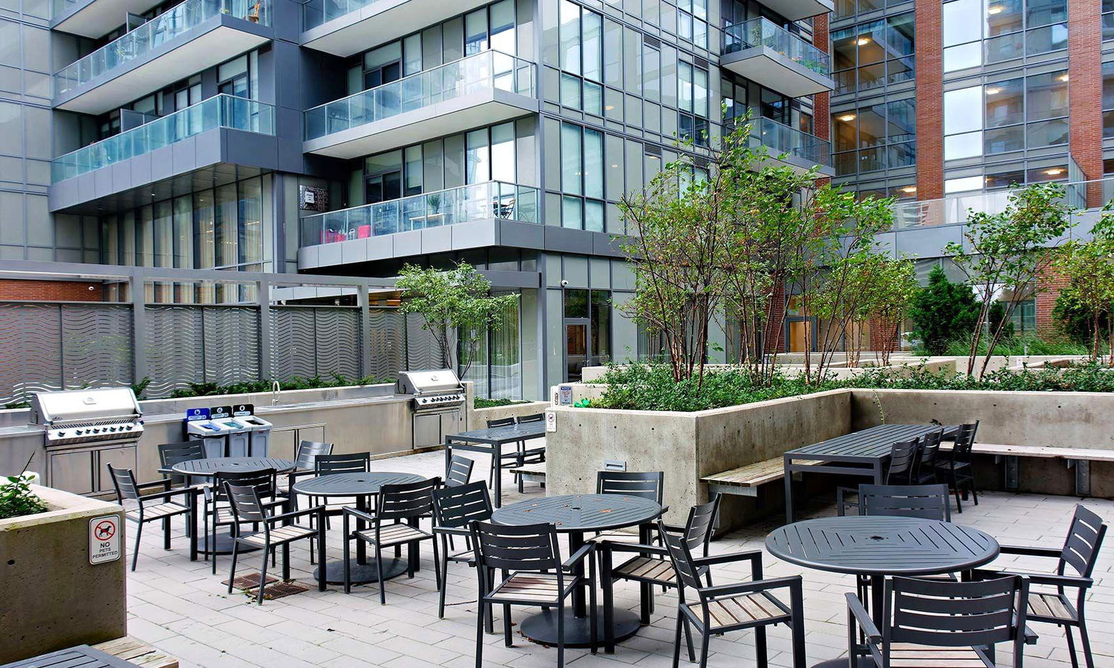 BBQ — The Point at Emerald City Condos, North York, Toronto