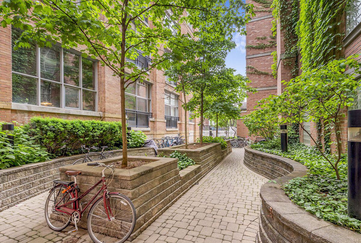 Patio — Chocolate Company Lofts, Downtown, Toronto