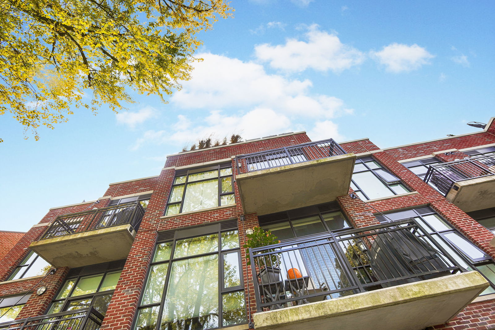 Exterior Sky — The Kew, East End, Toronto