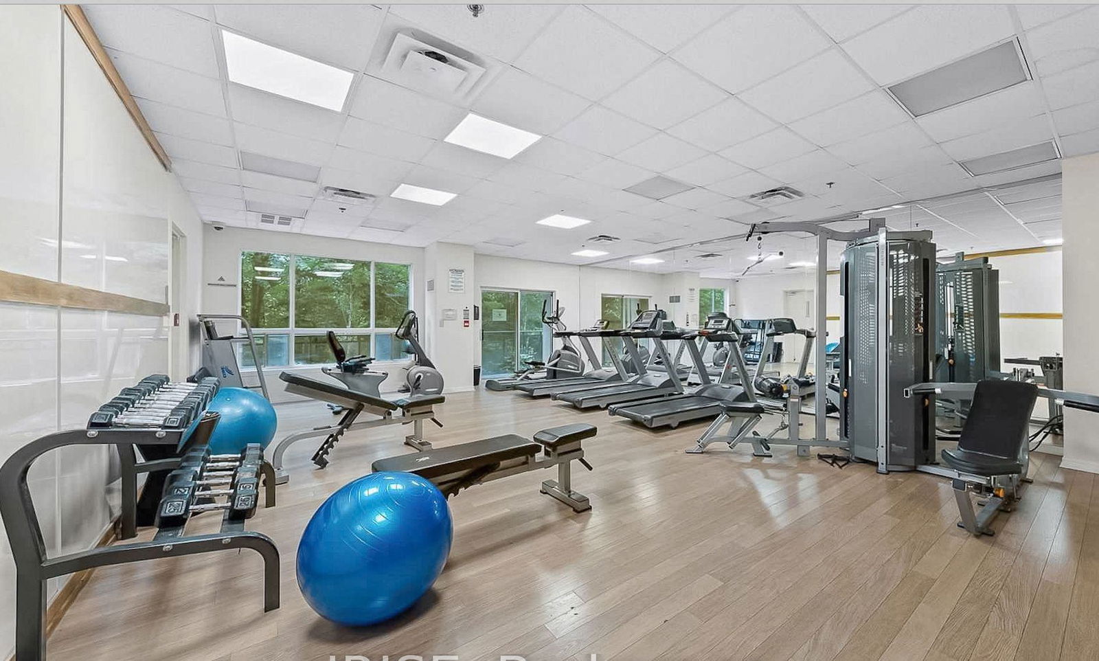 Gym — Chateau Park Condos, Vaughan, Toronto