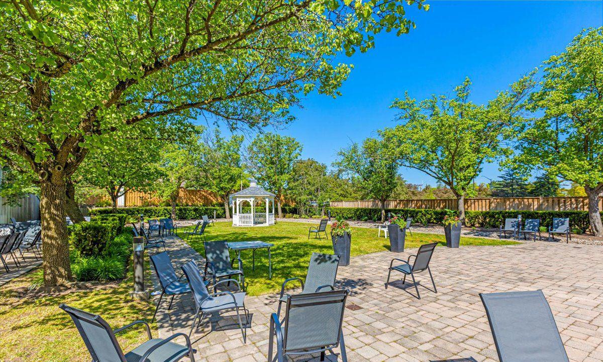 Patio — The Conservatory Condos, Vaughan, Toronto