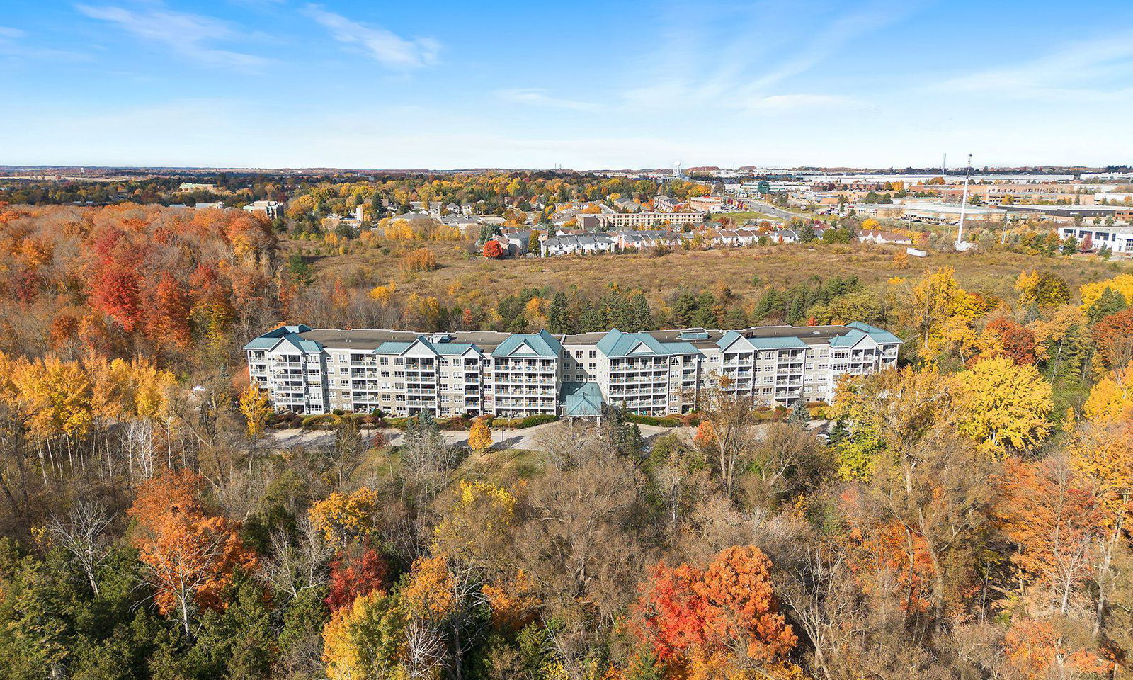 Reflections on Bogart Pond Condos, Newmarket, Toronto