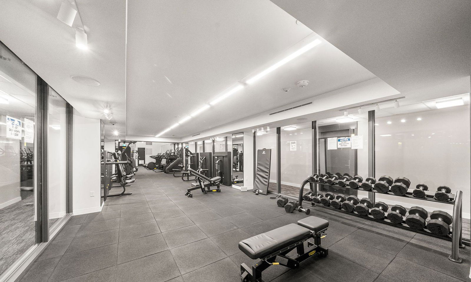 Gym — St. Lawrence Condominiums, Downtown, Toronto