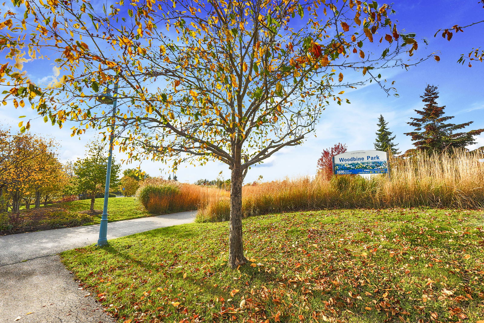 Park — The Boardwalk II, East End, Toronto