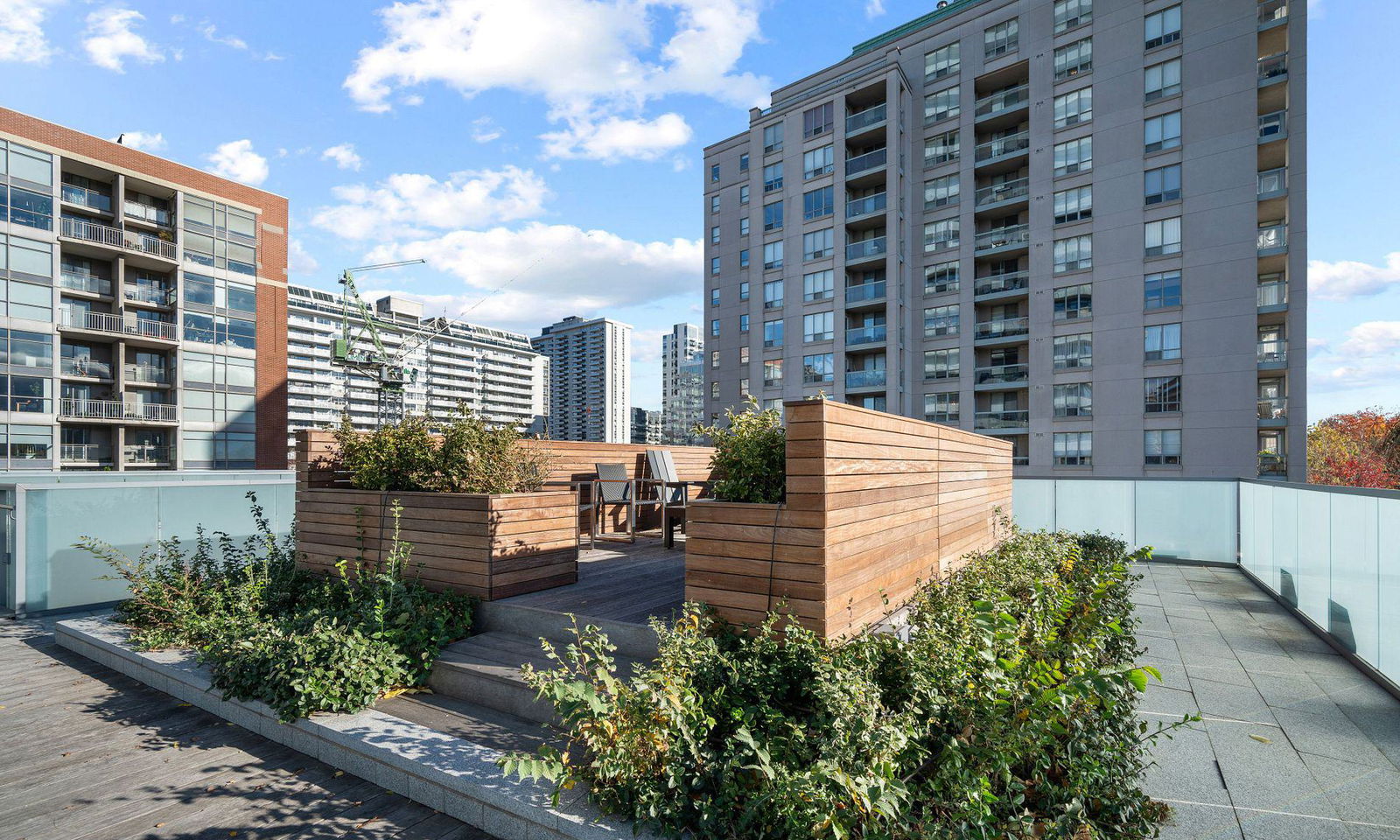 Rooftop Deck — MYC, Midtown, Toronto