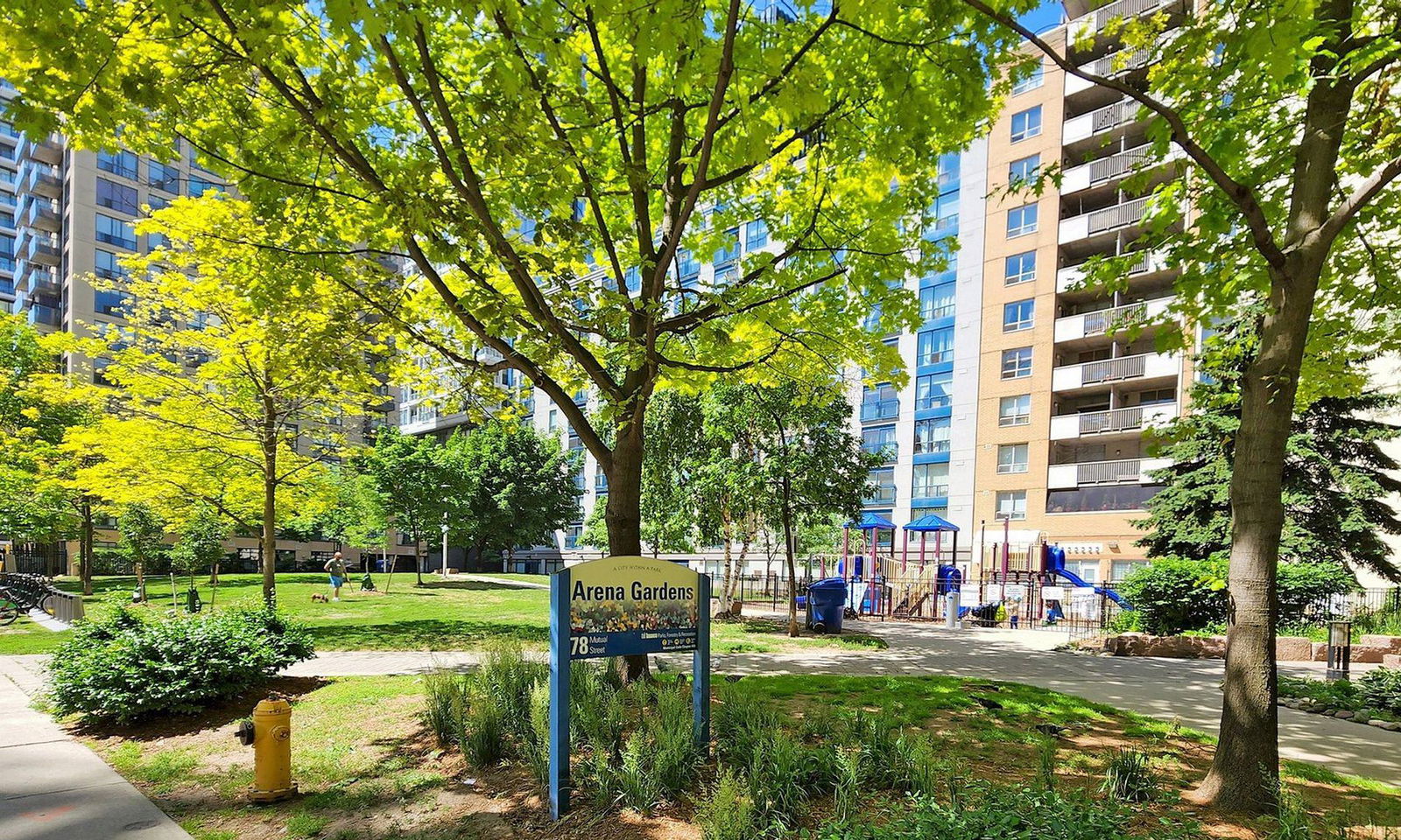 Park — Max Condos, Downtown, Toronto