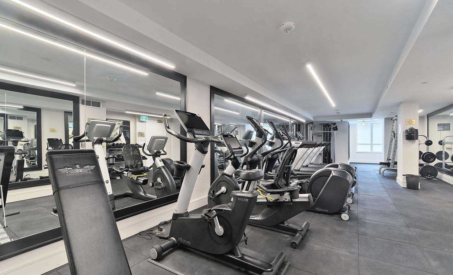 Gym — Empire Maven Condos, North York, Toronto