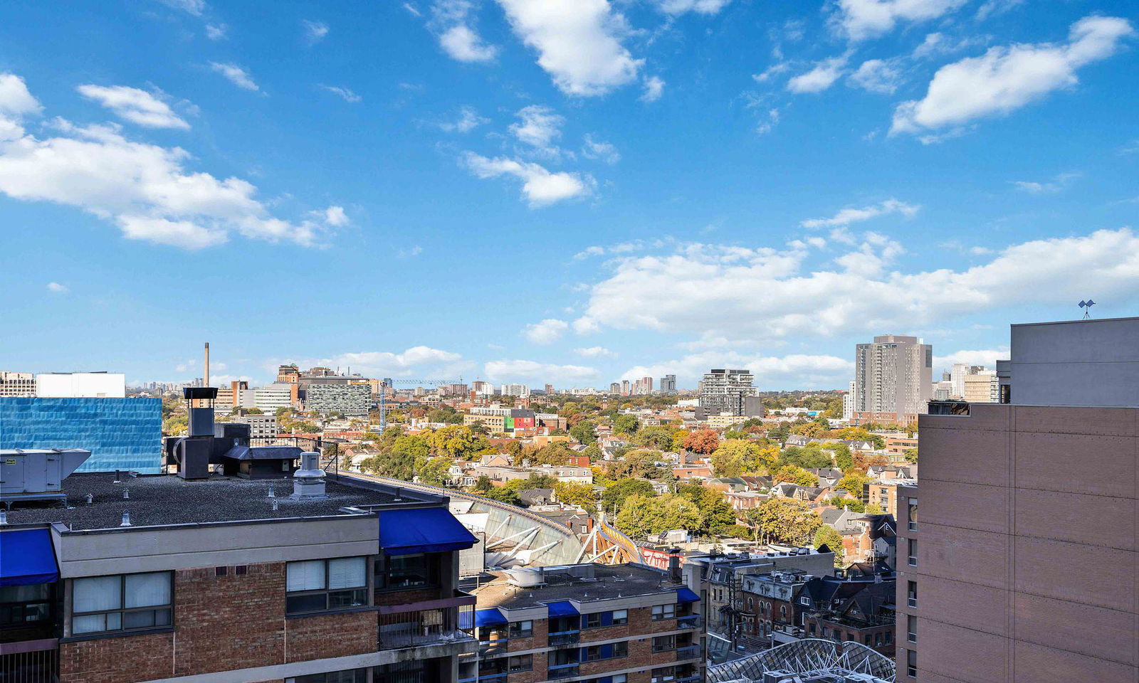 Skyline — Artists' Alley Condos, Downtown, Toronto