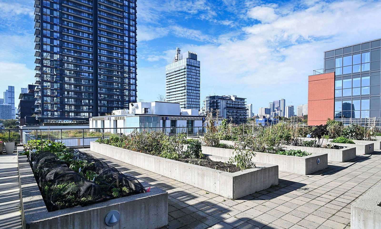 Rooftop Deck — One Park Place South Tower, Downtown, Toronto