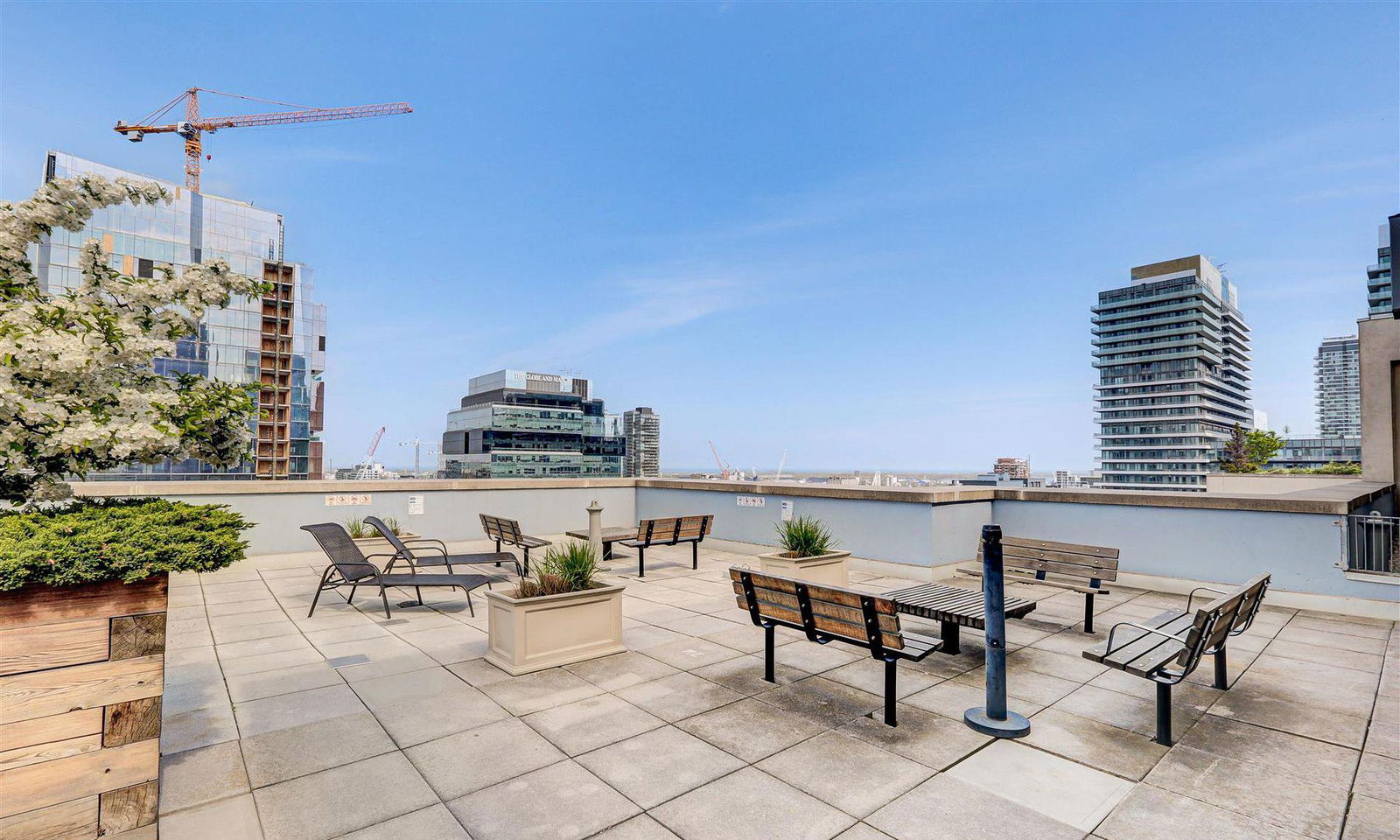 Rooftop Deck — Kings Court, Downtown, Toronto