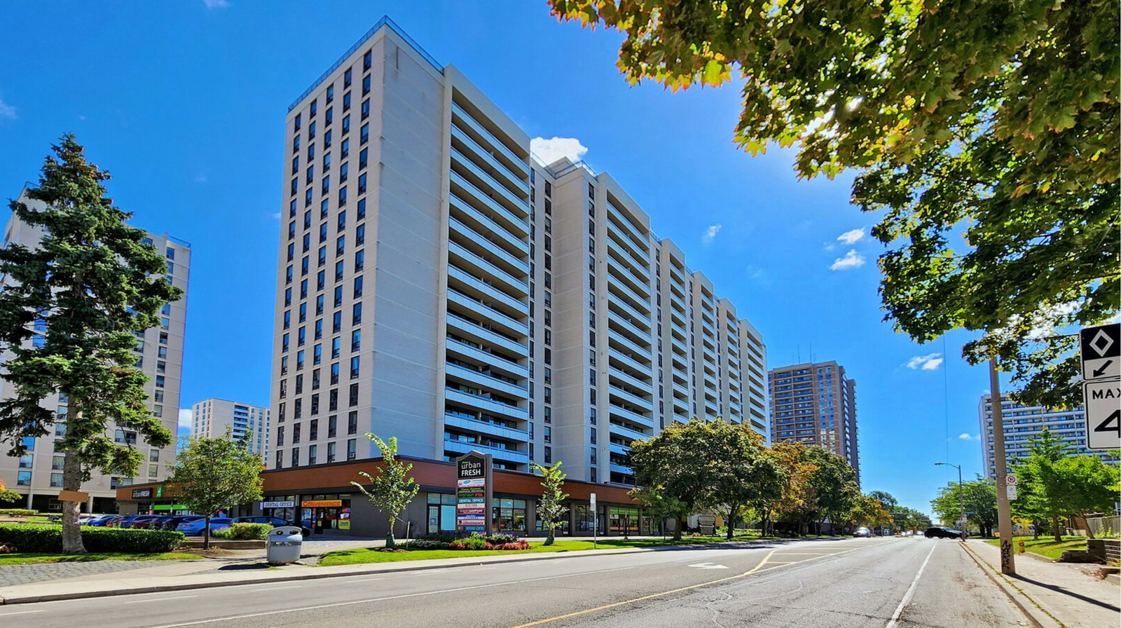 145 Marlee Avenue, The Fernwood