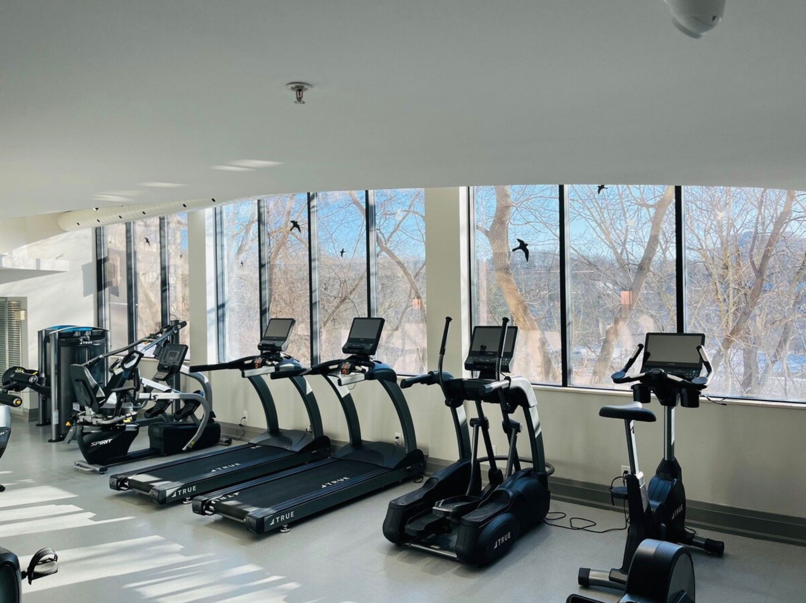 Gym — Old Mill Towers, Etobicoke, Toronto