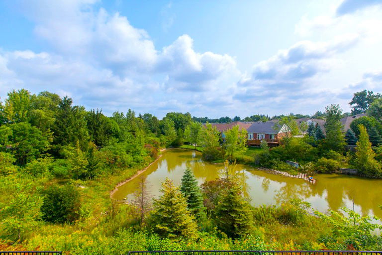 Camelot, Waterloo, Toronto