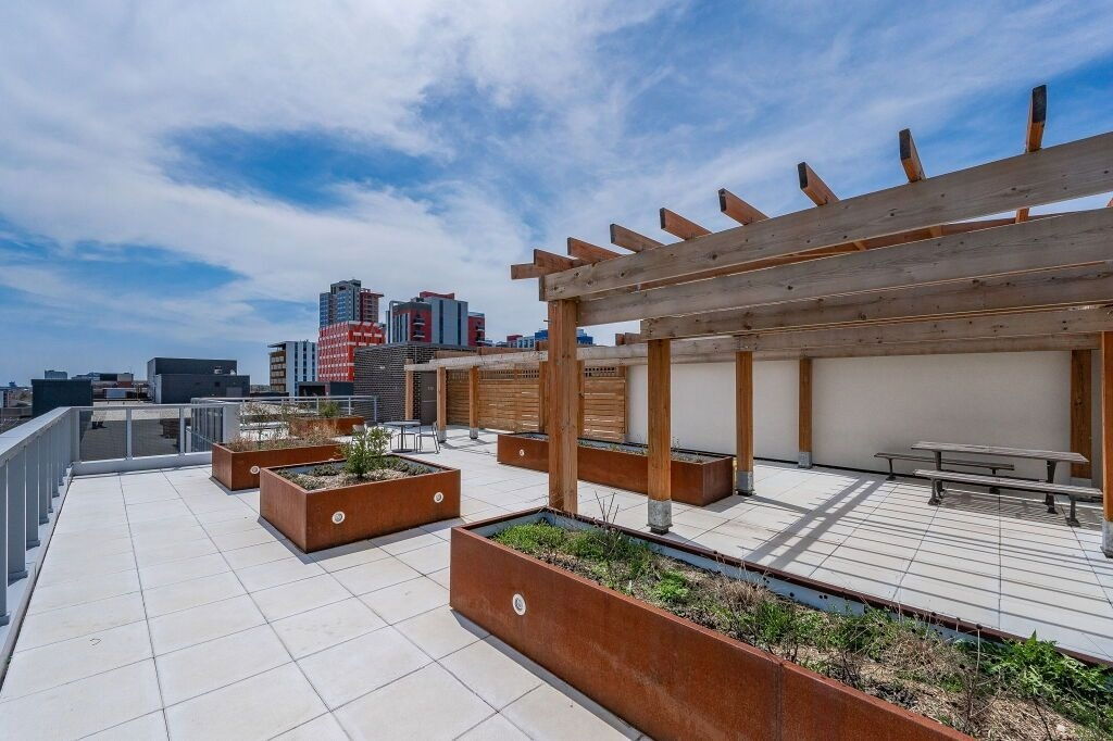 Rooftop Deck — Sage X, Waterloo, Toronto