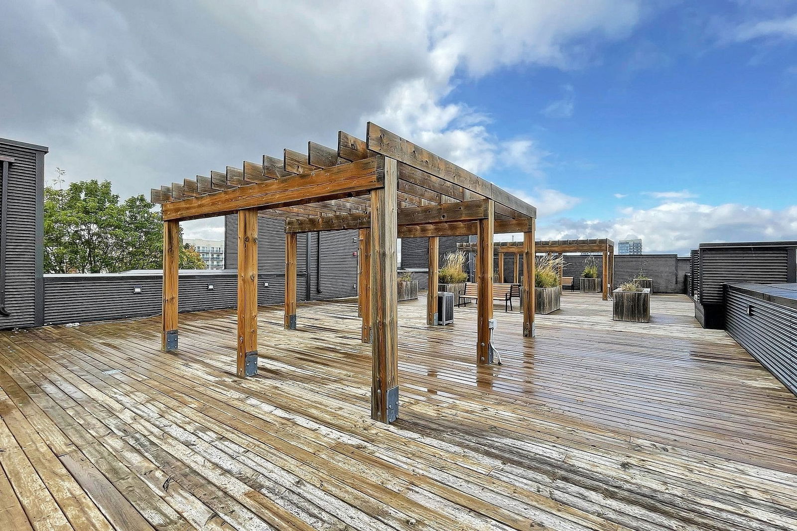 Rooftop Deck — Ivy Towns, Waterloo, Toronto