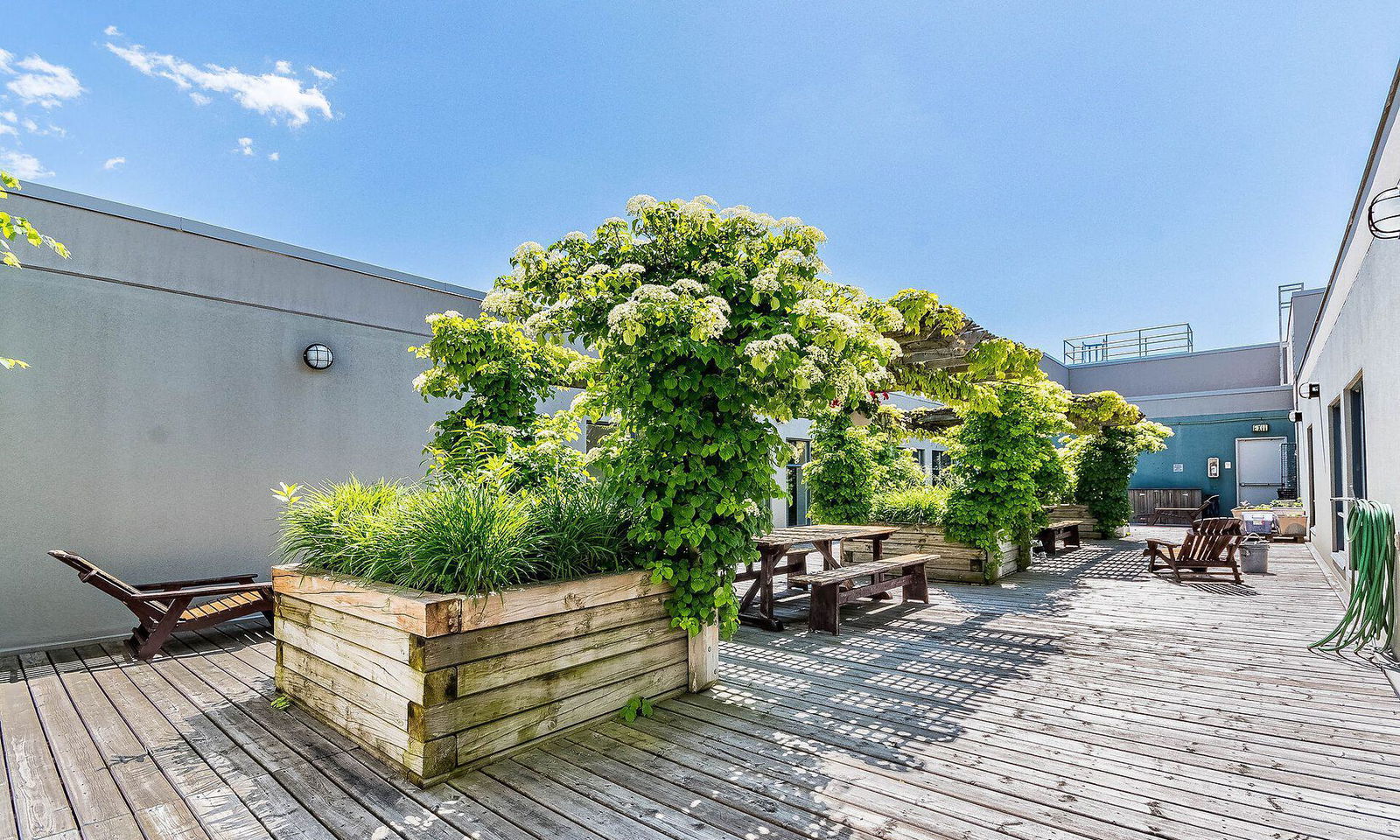 Rooftop Deck — The Candy Factory Lofts, Downtown, Toronto