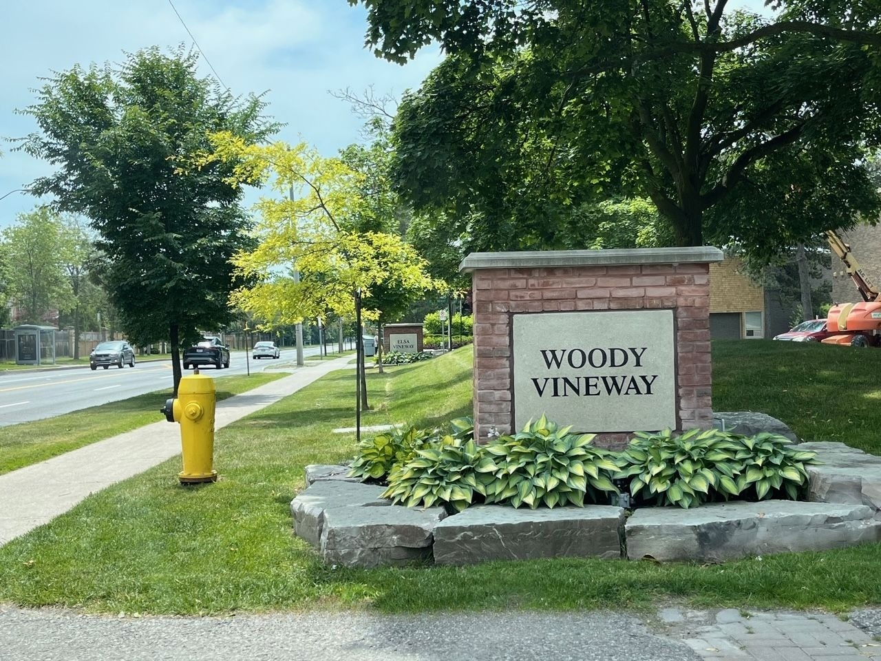 Woody Vineway, North York, Toronto