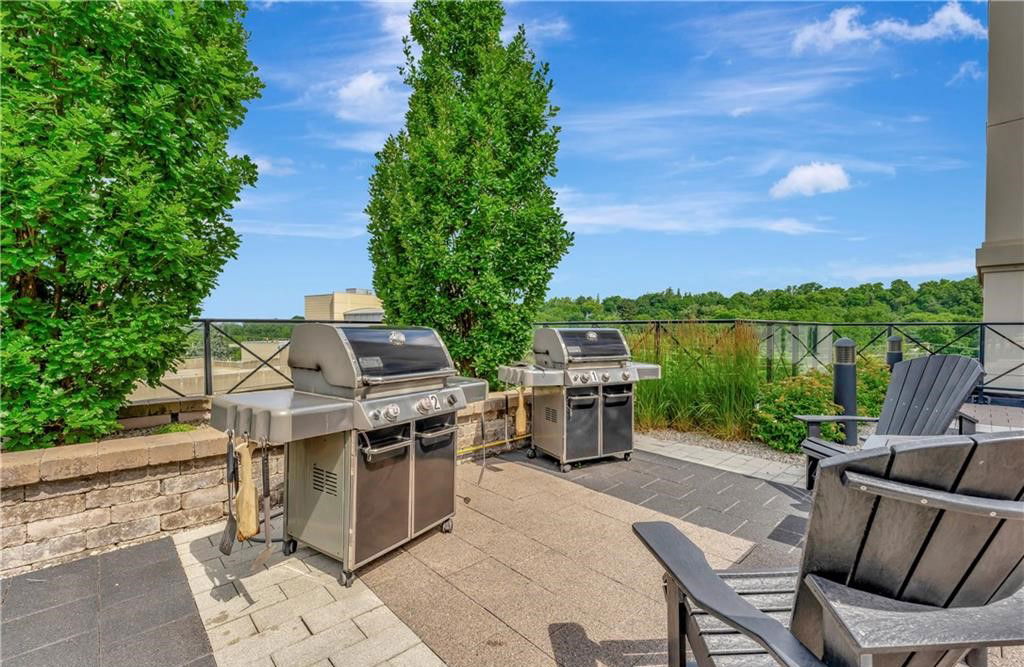 BBQ — RiverHouse Condominiums, Guelph, Toronto