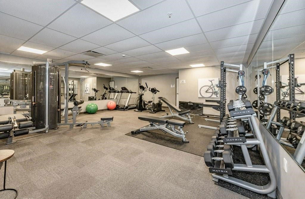 Gym — 104 Summit Ridge Drive, Guelph, Toronto