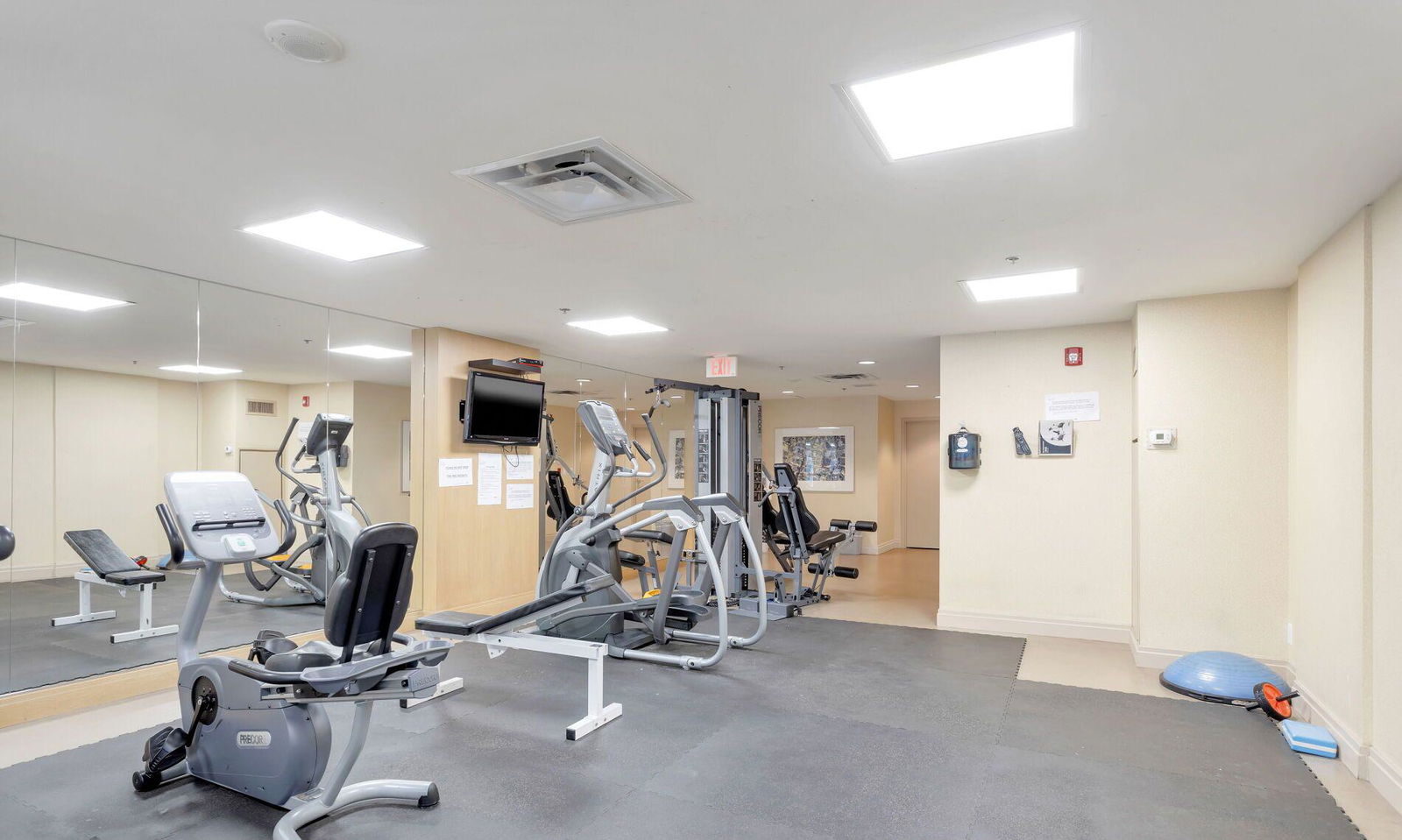 Gym — Mosaic, Downtown, Toronto