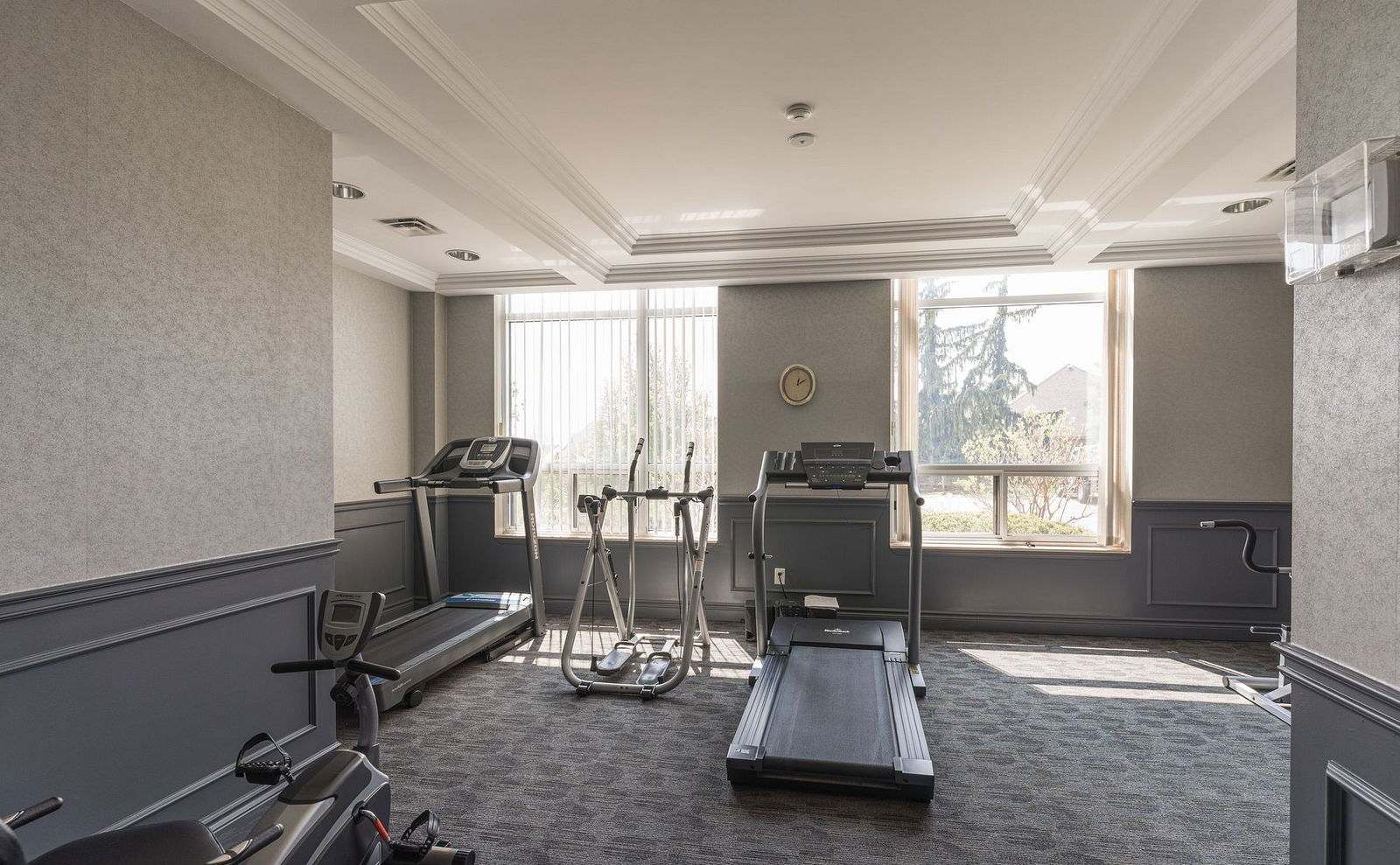 Gym — The Palisades, New Tecumseth, Toronto