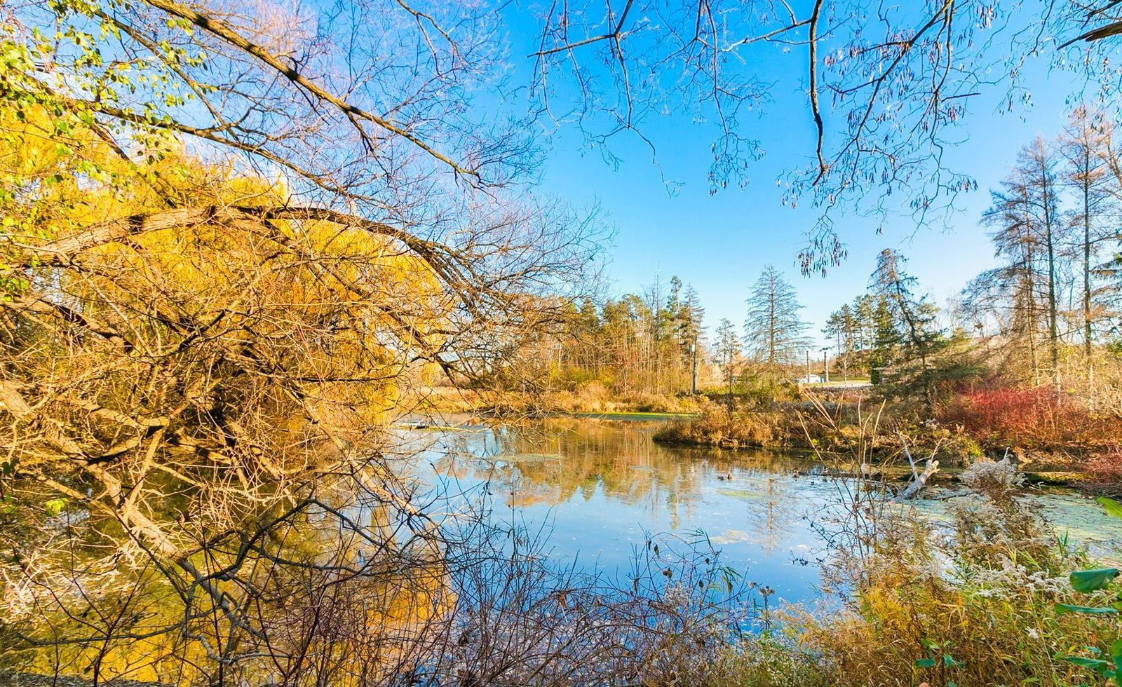 Upper Stonehaven, Newmarket, Toronto