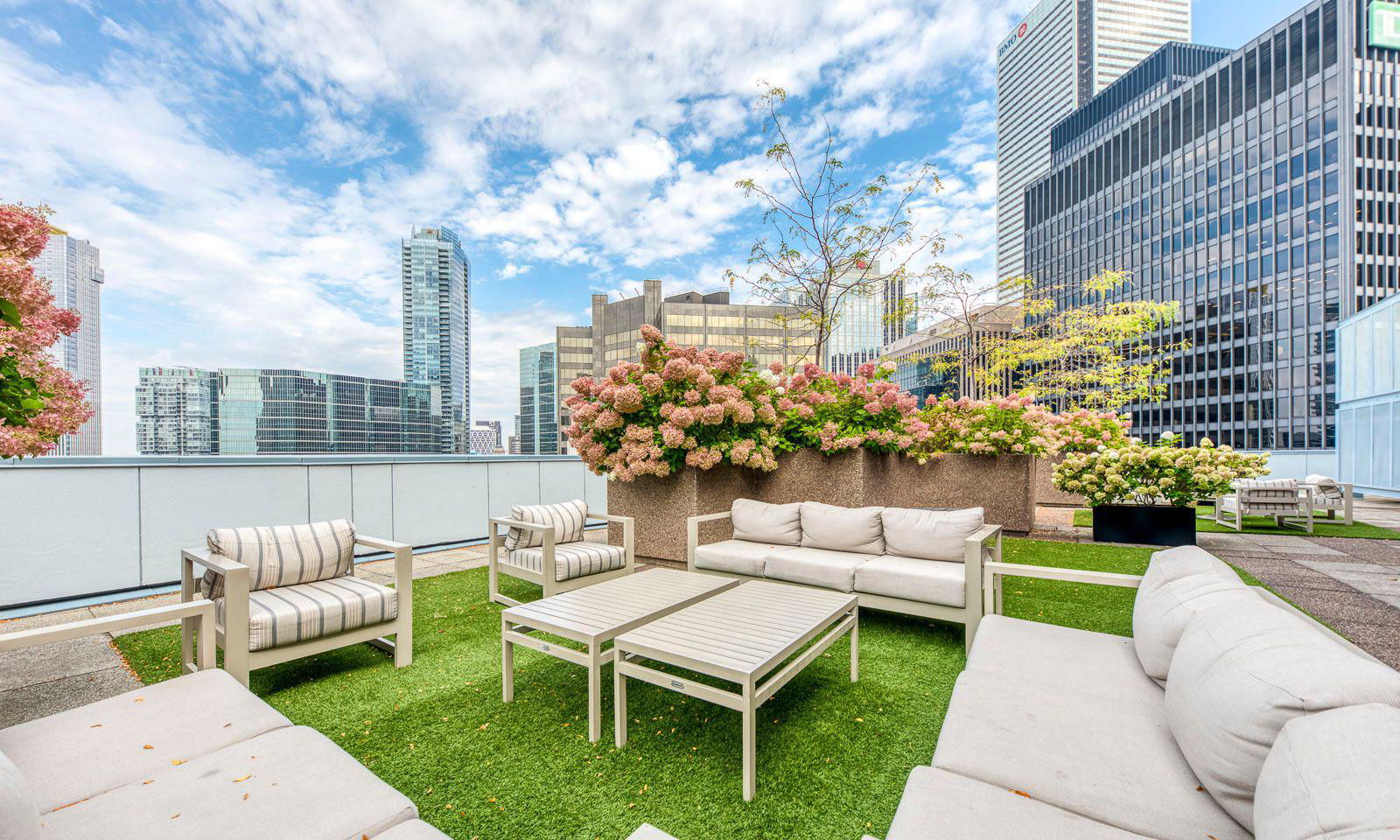 Rooftop Deck — Empire Plaza, Downtown, Toronto