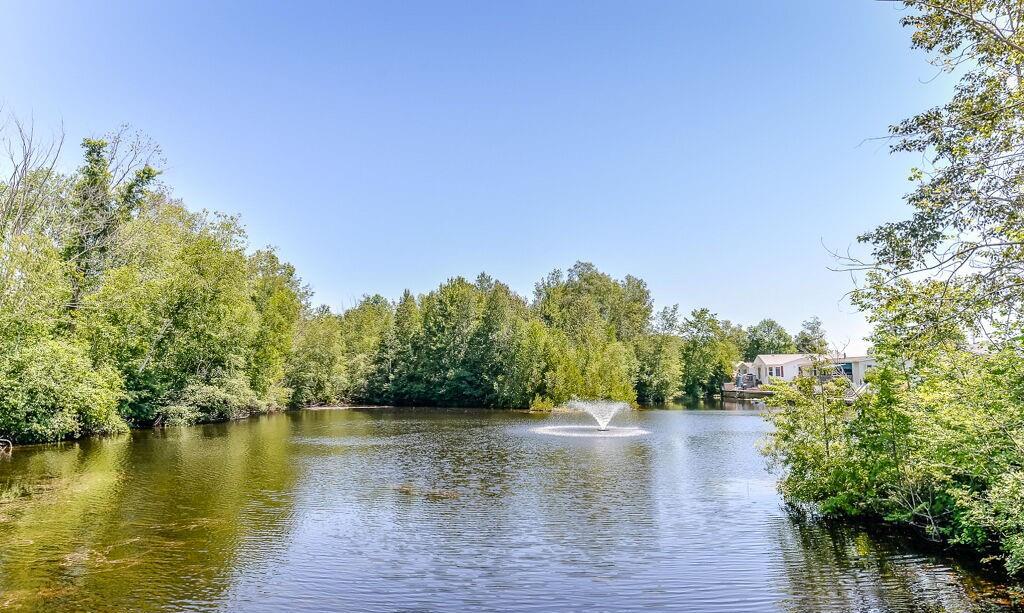 Mini Lakes, Puslinch, Toronto