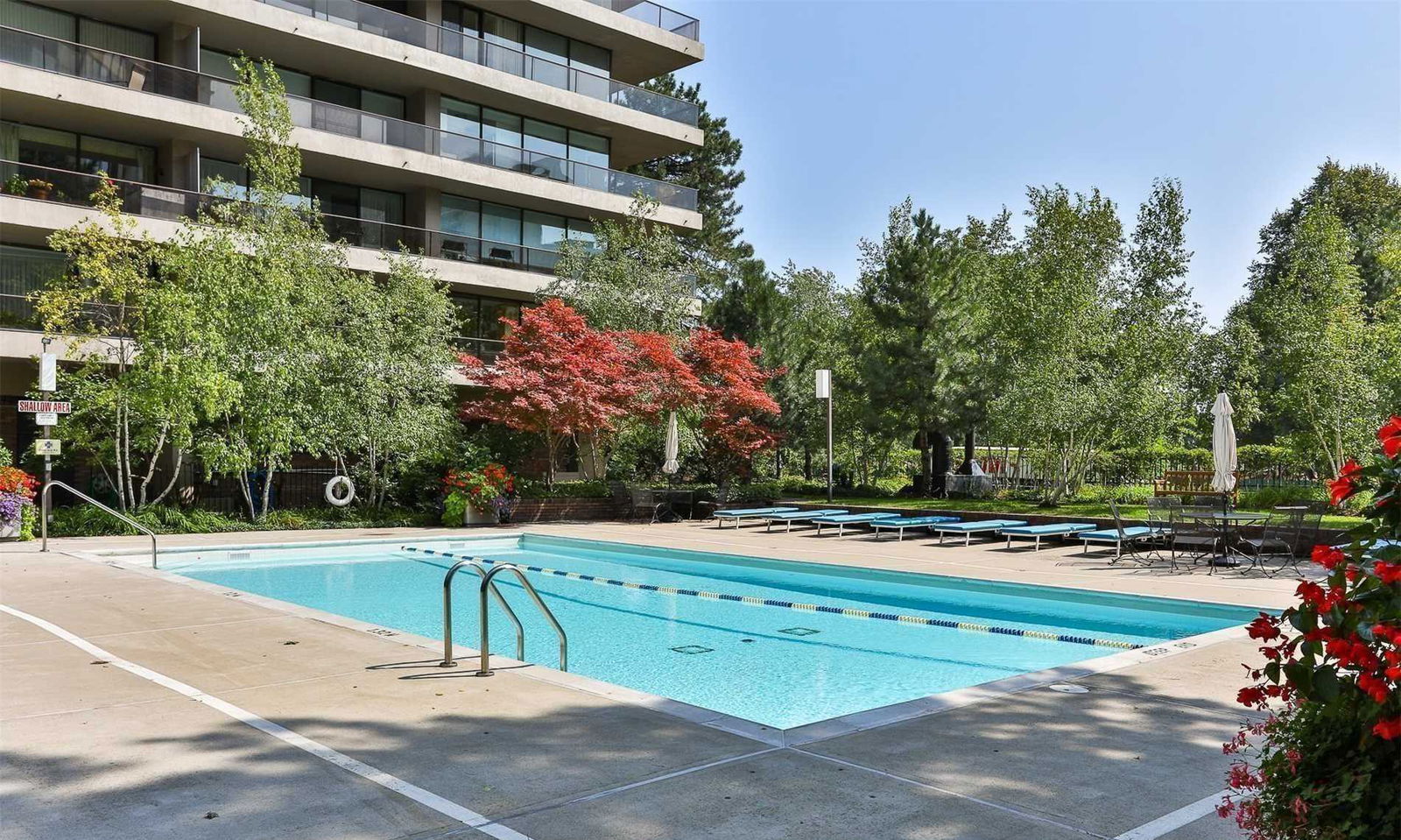 Pool — The Avoca Condos, Midtown, Toronto