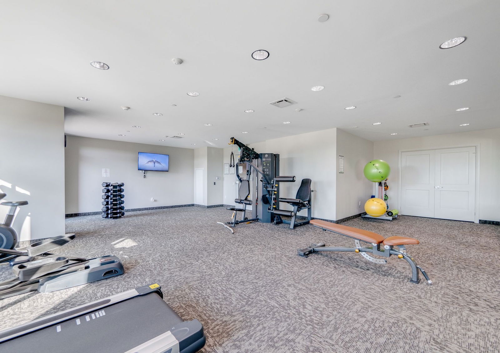 Gym — Bronte West, Milton, Toronto