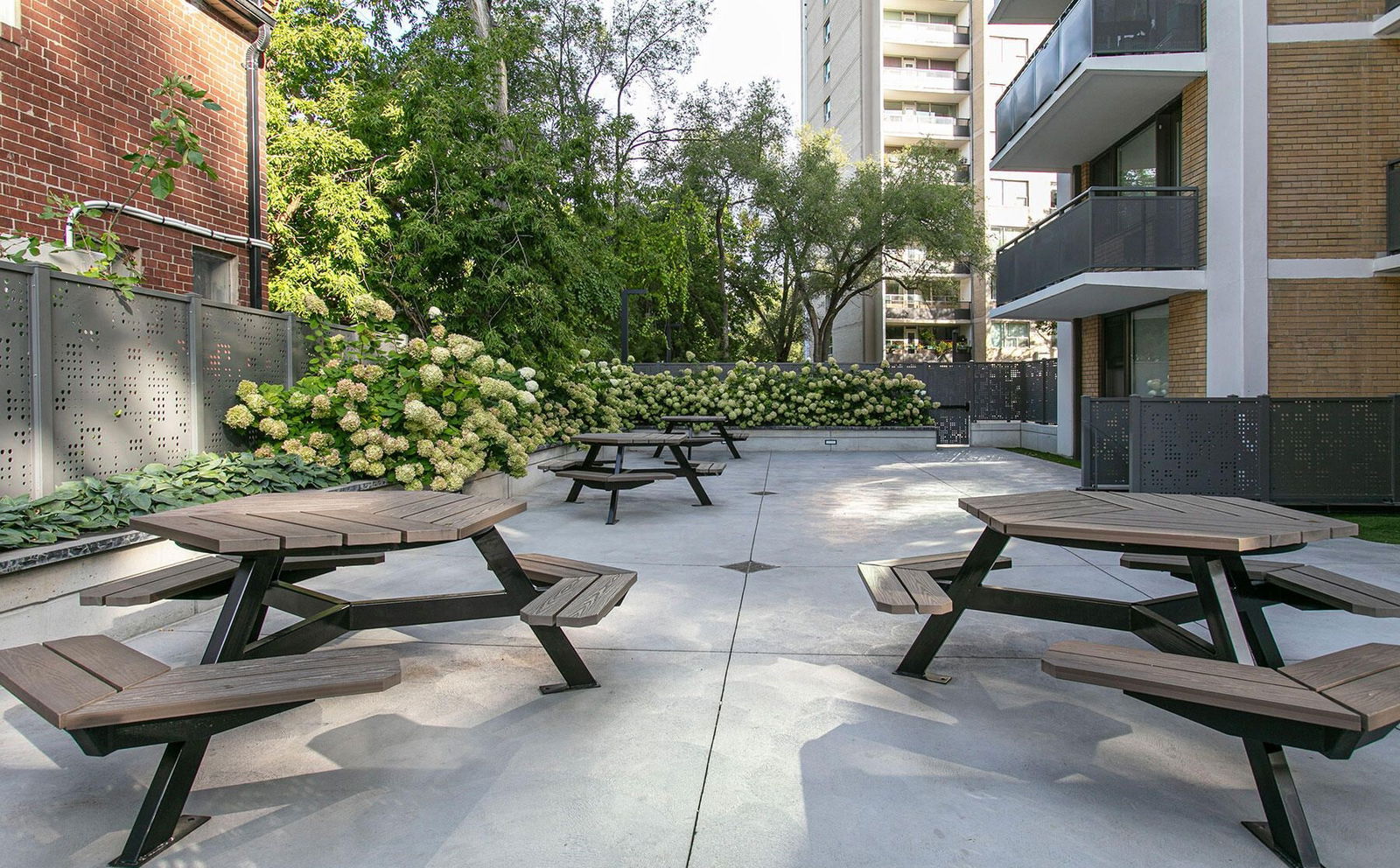 Patio — 276 Saint George Street, Downtown, Toronto