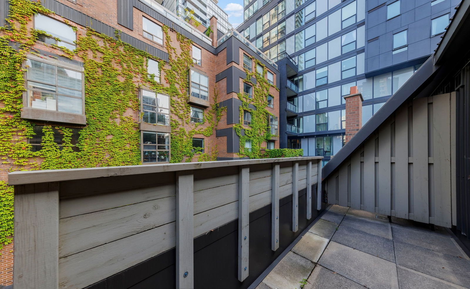 Rooftop Deck — 25 Dundonald Street, Downtown, Toronto