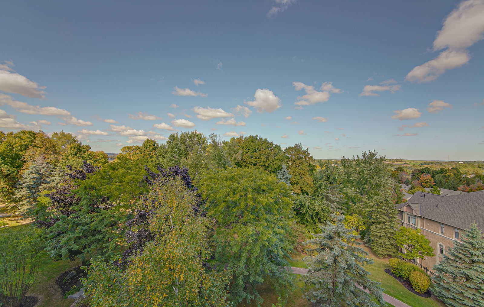 Skyline — Briar Hill Condos, New Tecumseth, Toronto