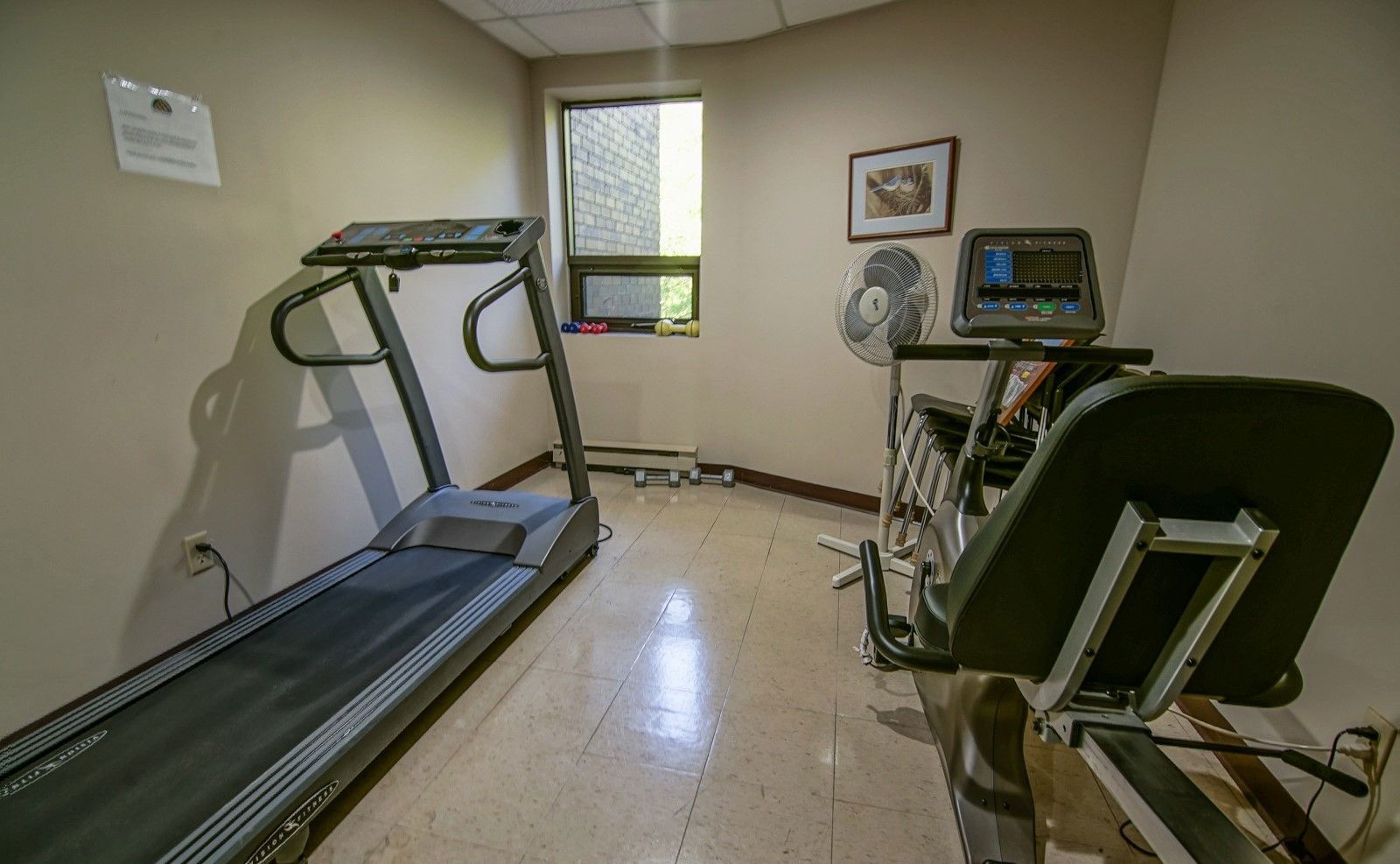 Gym — The Ridge Condos, East Gwillimbury, Toronto