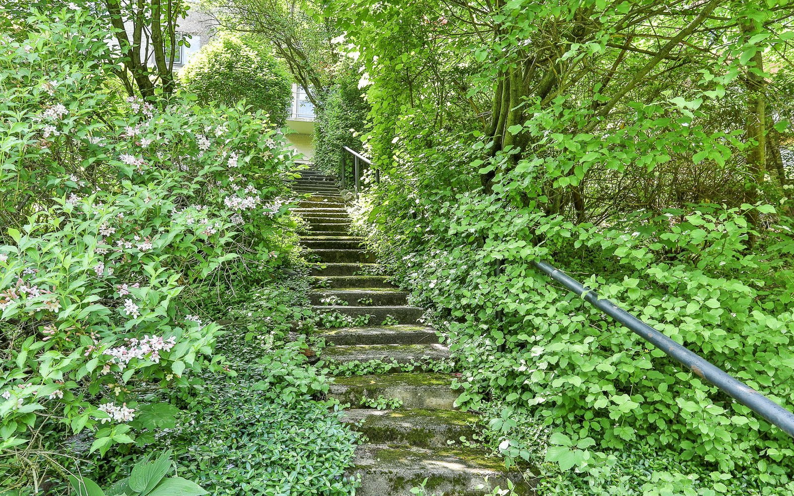 31 Rosedale Road, Midtown, Toronto